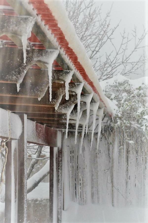 Si-Har Chalets Nimrod Esterno foto