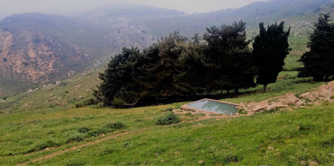 Si-Har Chalets Nimrod Esterno foto